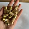 Bsl Series Sintered Powder Bronze Brass Pneumatic Element Silencer for Solenoid Valve